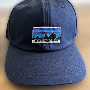 Patagonia Navy Blue Cap